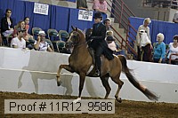 11r12_9586 proof