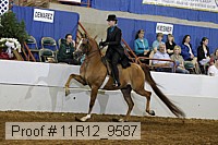 11r12_9587 proof