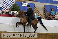 11r12_9591 proof