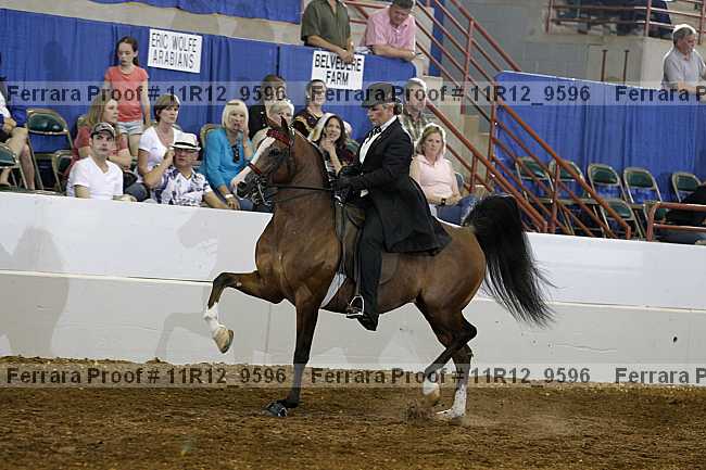 Proof 11r12_9596