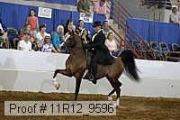 11r12_9596 proof