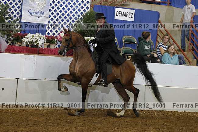 Proof 11r12_9601