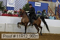 11r12_9601 proof