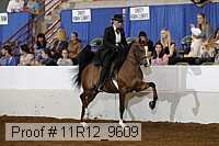 11r12_9609 proof