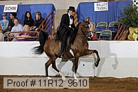 11r12_9610 proof