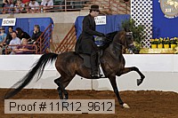 11r12_9612 proof