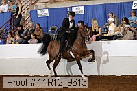 11r12_9613 proof