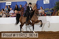 11r12_9614 proof