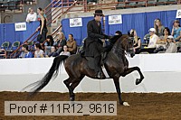 11r12_9616 proof