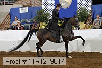 11r12_9617 proof