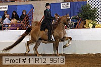 11r12_9618 proof
