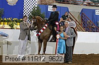 11r12_9622 proof