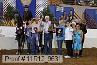 11r12_9631 proof