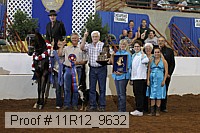 11r12_9632 proof