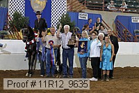11r12_9635 proof