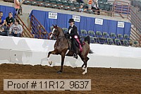 11r12_9637 proof