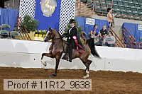11r12_9638 proof
