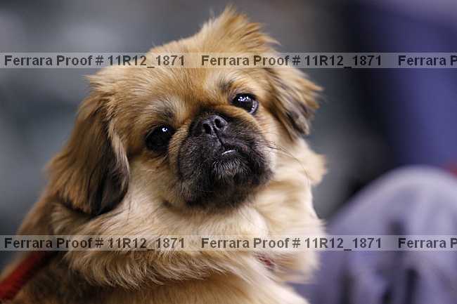 Proof 11r12_1871