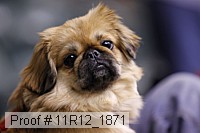 11r12_1871 proof