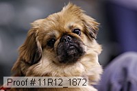 11r12_1872 proof