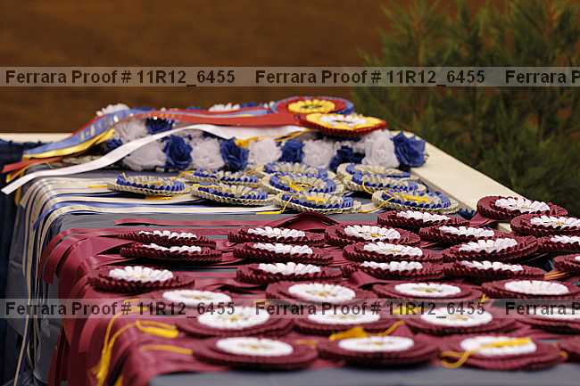 Proof 11r12_6455