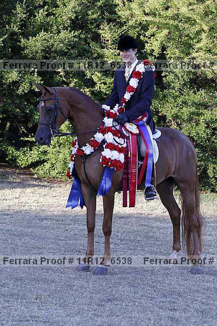 Proof 11r12_6538