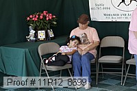 11r12_8699 proof