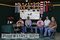 11r12_8701 proof