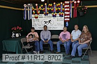 11r12_8702 proof