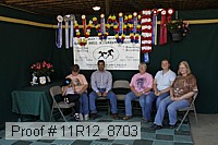 11r12_8703 proof