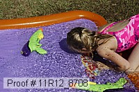 11r12_8708 proof