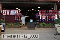 11r12_9033 proof