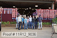 11r12_9036 proof