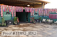 11r12_9052 proof