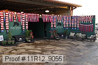 11r12_9055 proof