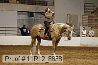 11r12_8838 proof