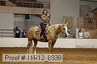 11r12_8839 proof