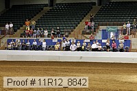 11r12_8842 proof