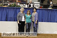 11r12_9283 proof