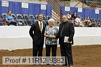 11r12_9382 proof
