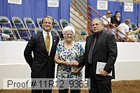11r12_9383 proof