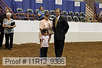 11r12_9385 proof