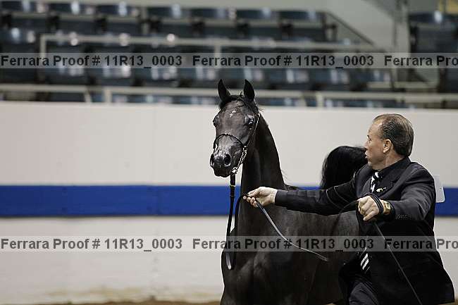 Proof 11r13_0003