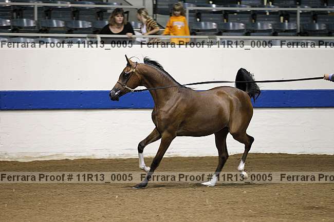 Proof 11r13_0005