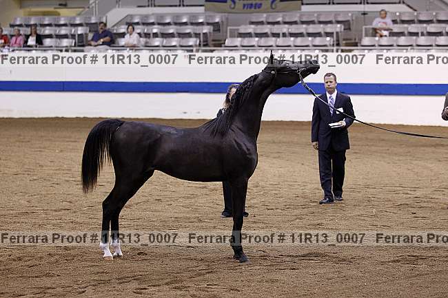 Proof 11r13_0007