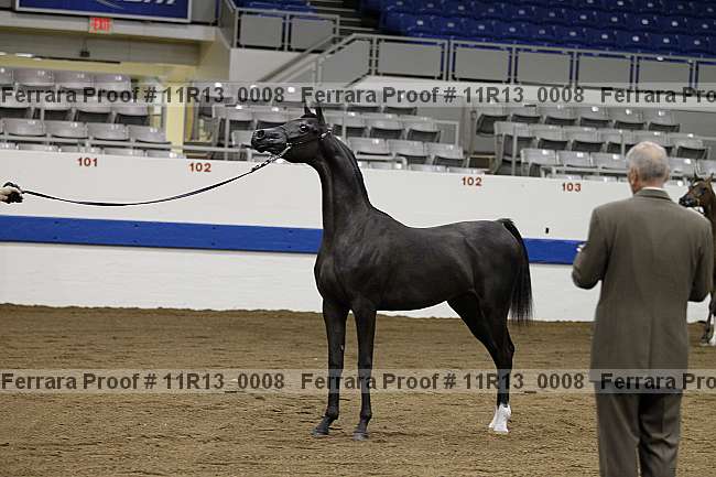 Proof 11r13_0008