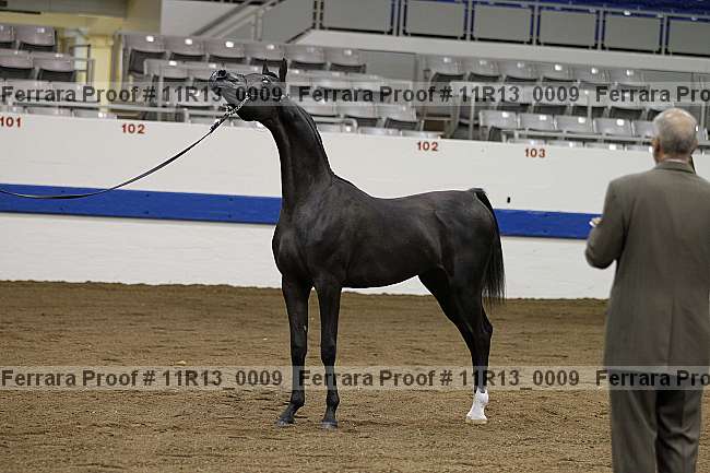 Proof 11r13_0009