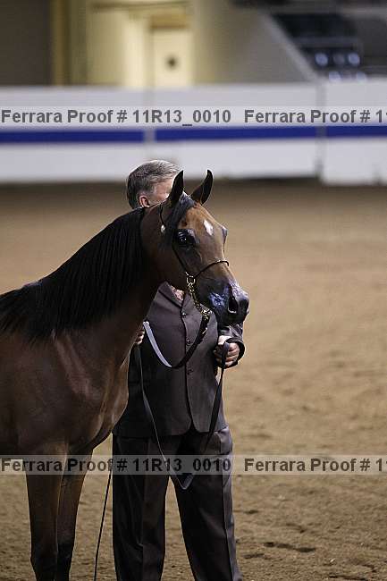 Proof 11r13_0010