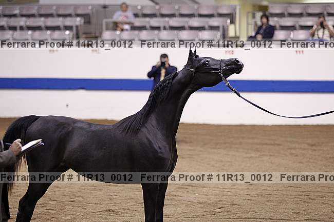 Proof 11r13_0012