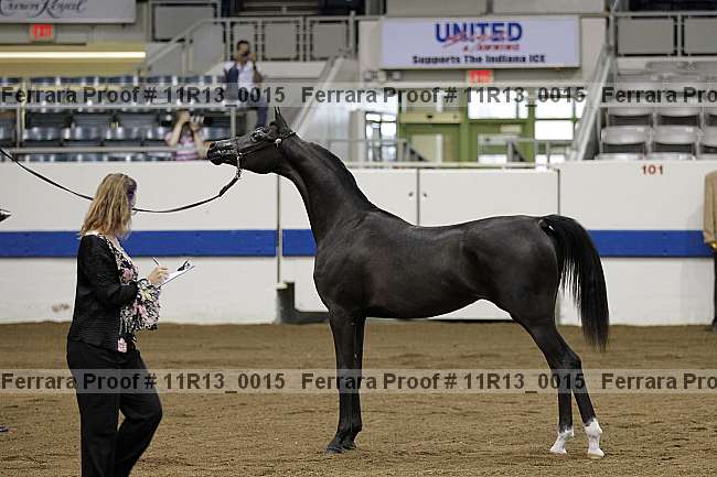 Proof 11r13_0015